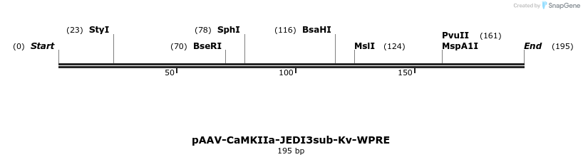484904_map