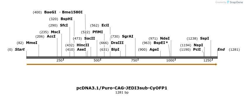 484906_map