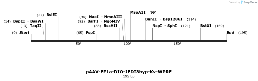 484915_map