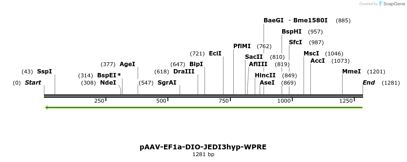 484917_map