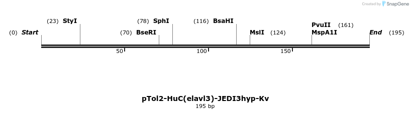 484929_map