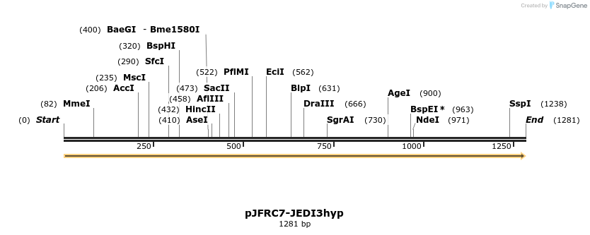 484931_map