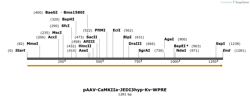 484935_map