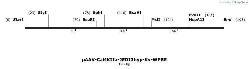484936_map