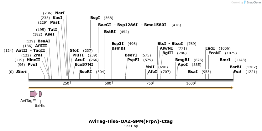 484966_map
