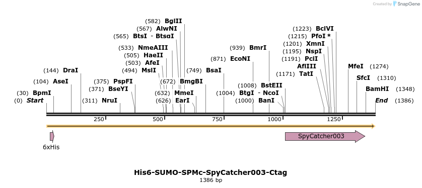 484977_map