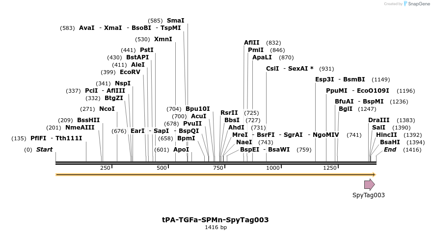 484978_map