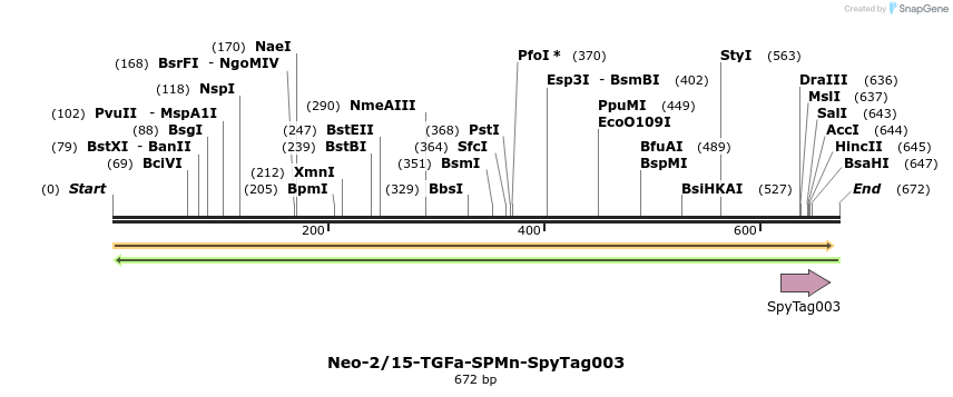 484979_map