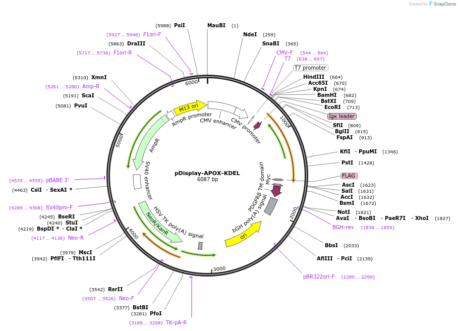 485071_map