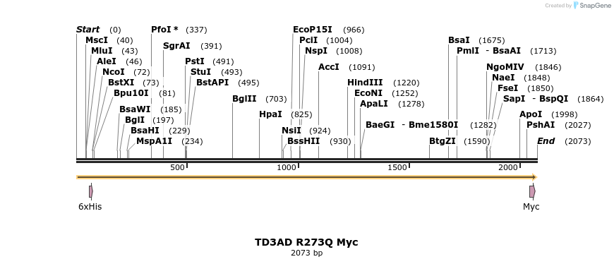 485310_map