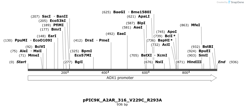 485346_map