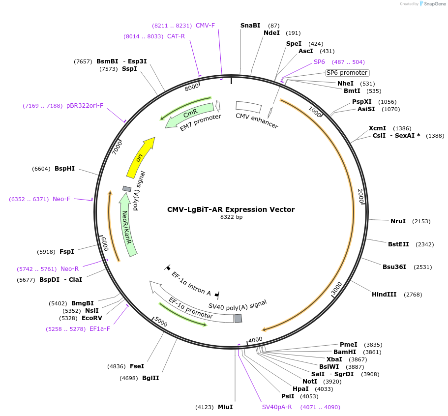 485900_map