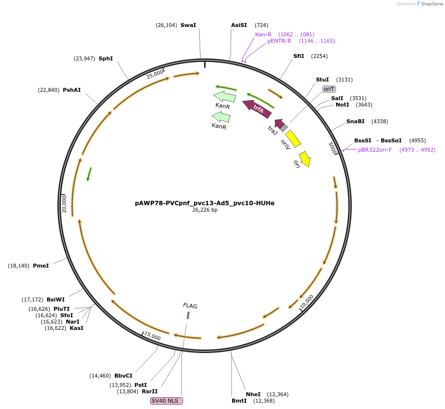 485901_map