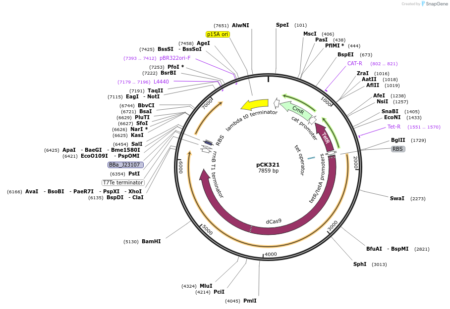 486128_map