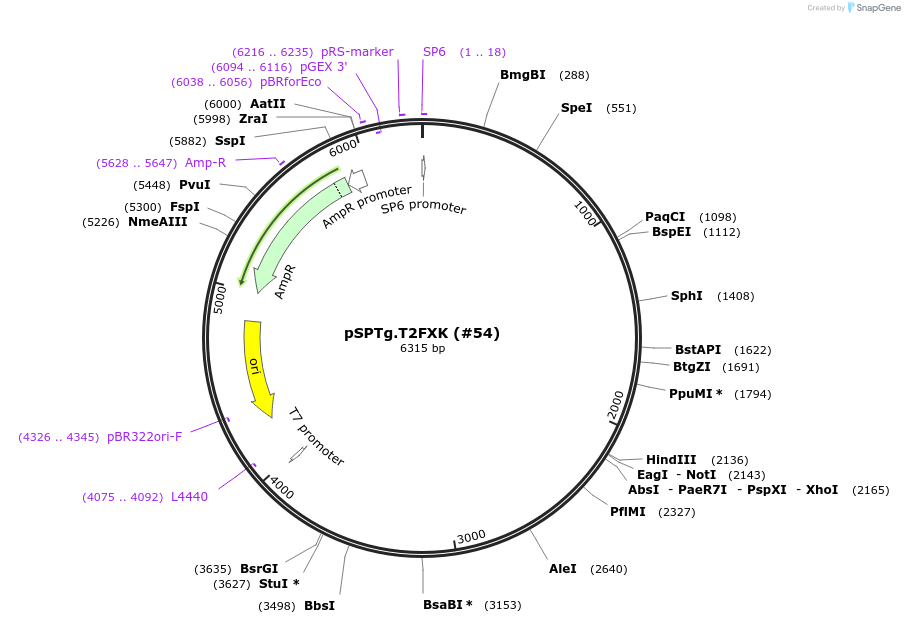 486624_map