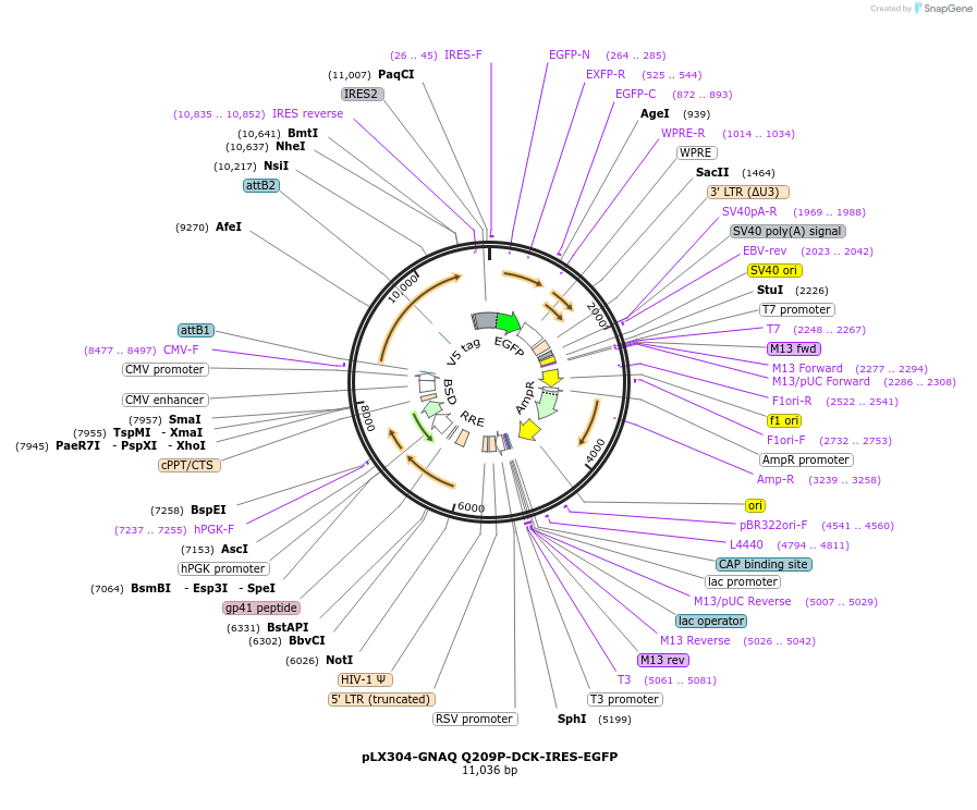 486720_map