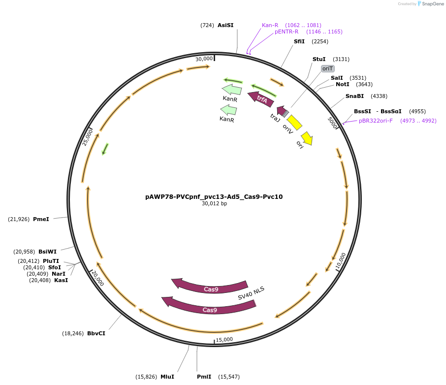 487011_map