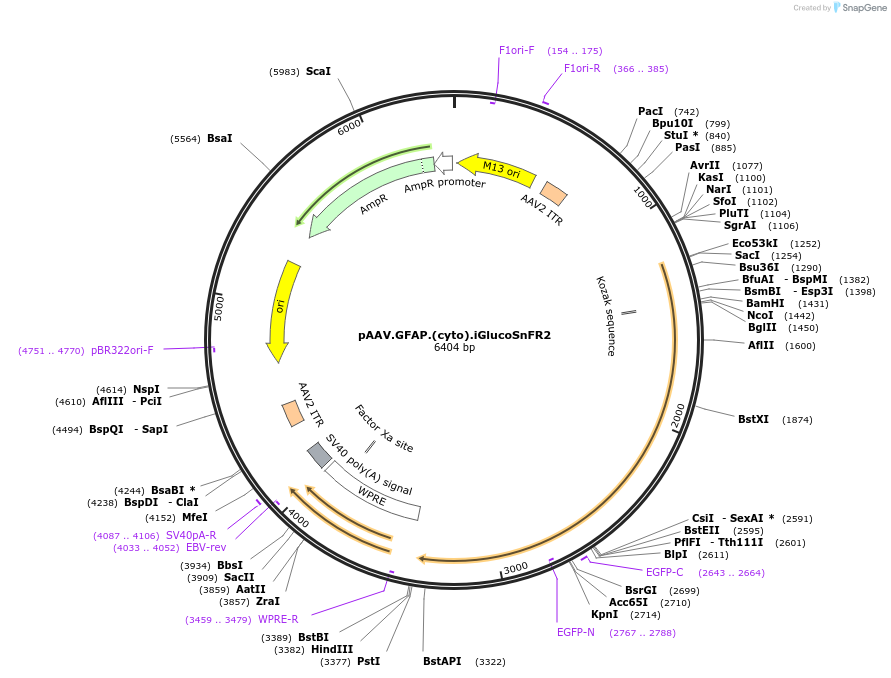 487028_map