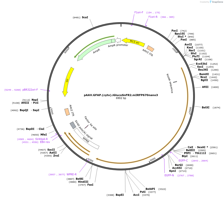 487064_map