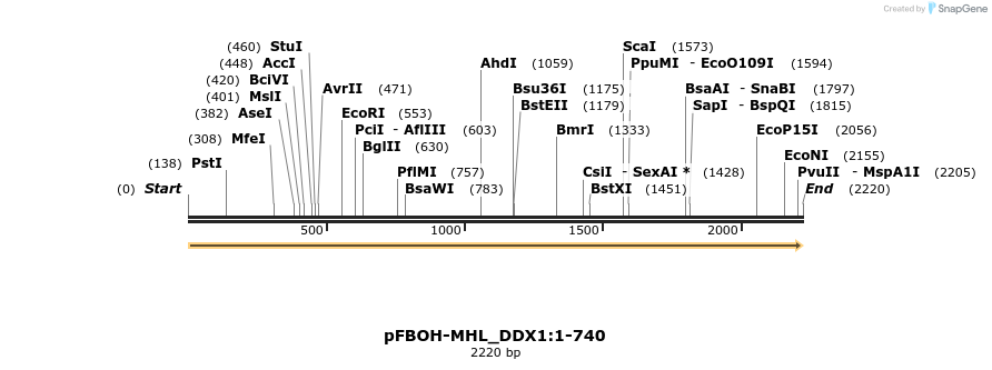 487233_map