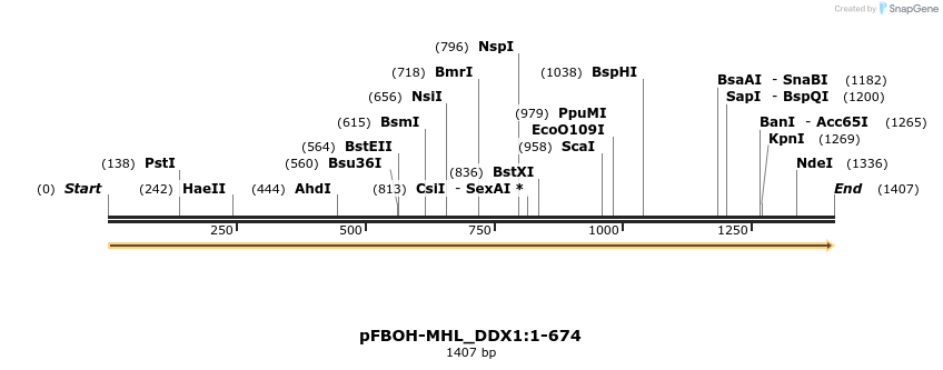 487237_map