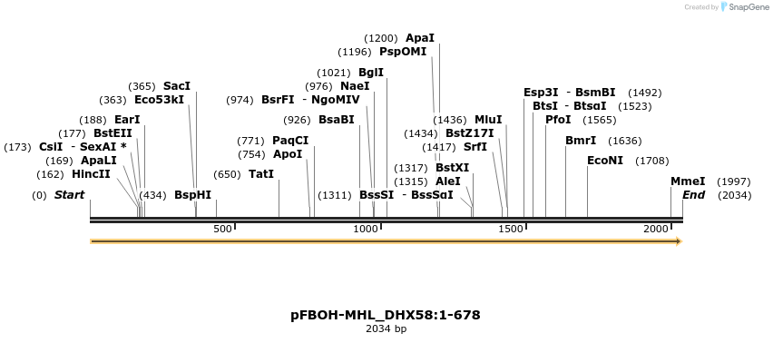 487239_map
