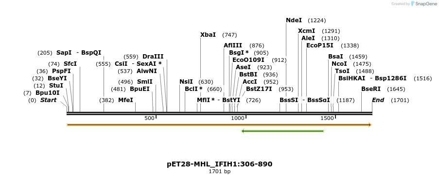487251_map