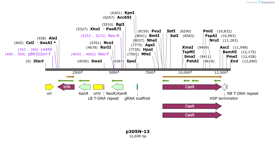 487328_map