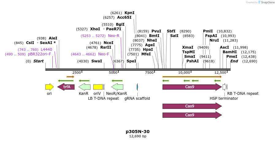 487362_map