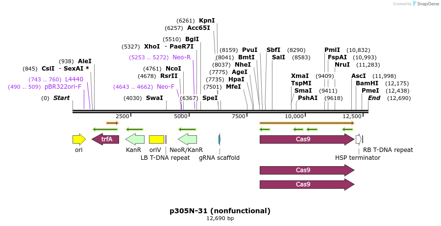 487365_map