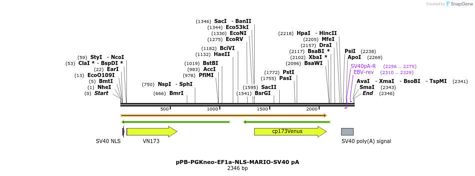 487454_map