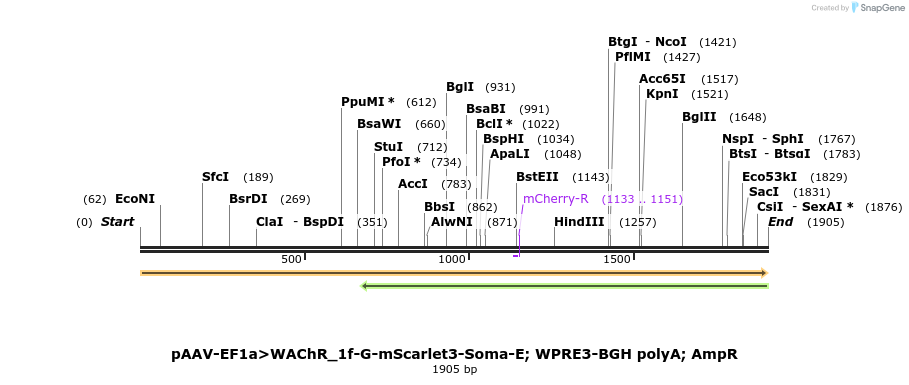 487660_map