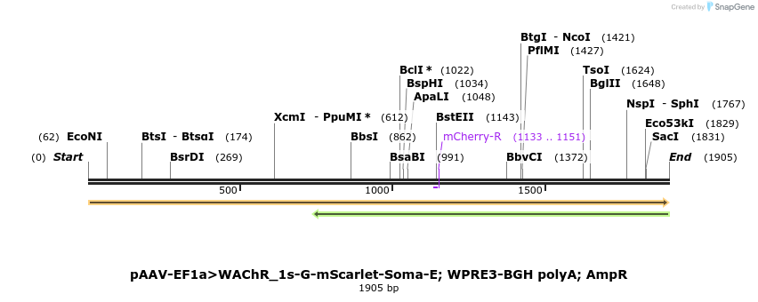487664_map