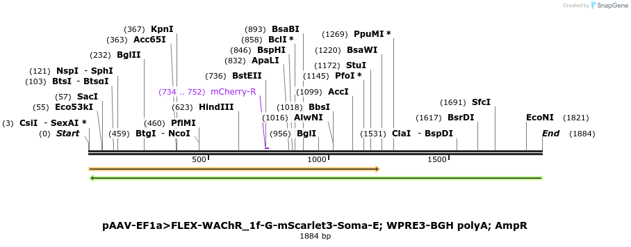 487666_map