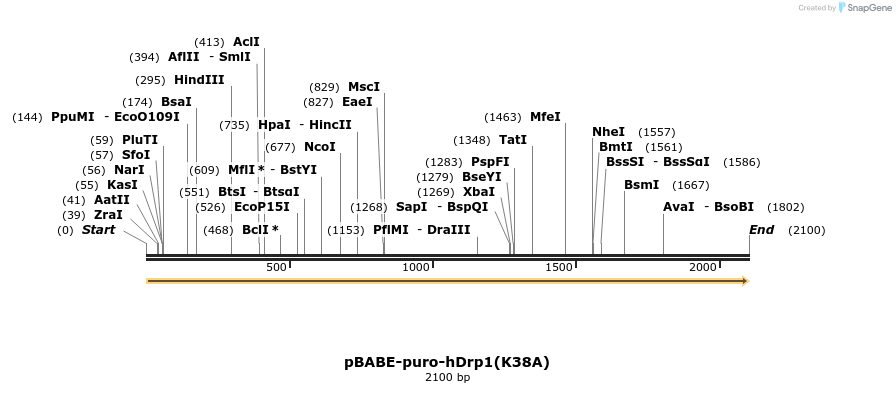 48793_map