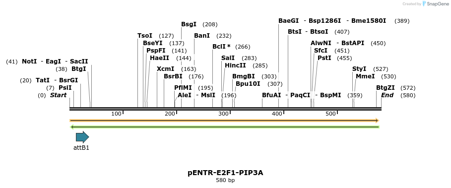 48801_map