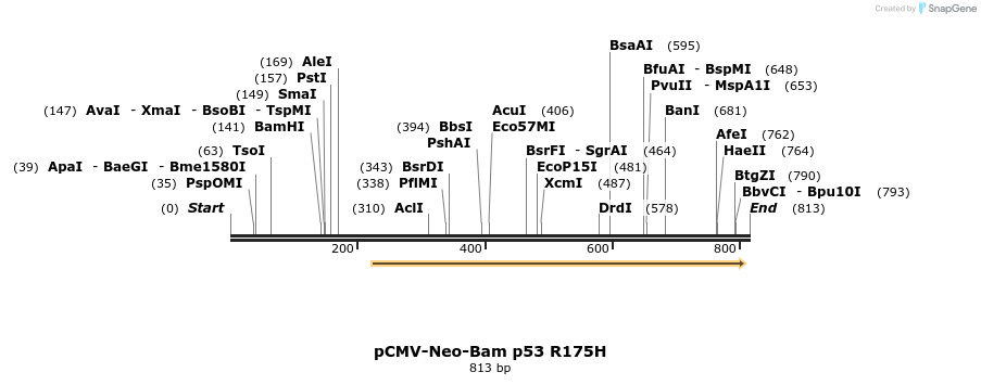 48802_map