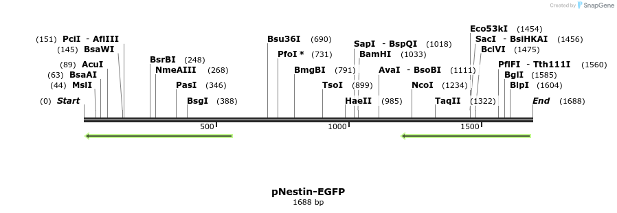 48804_map