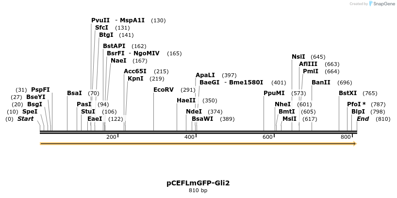 48812_map