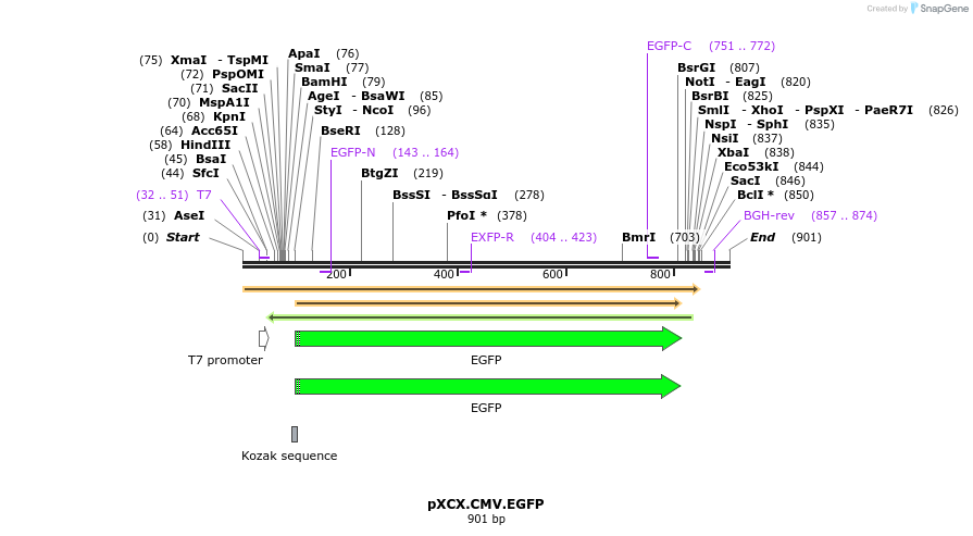 48813_map