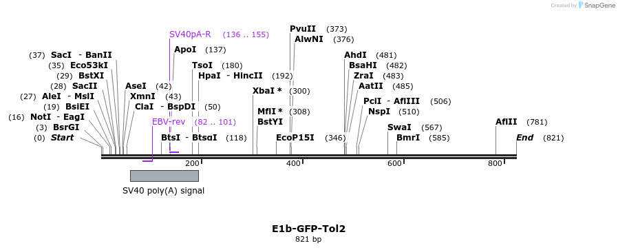 48815_map