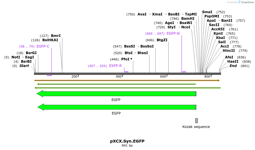 48819_map