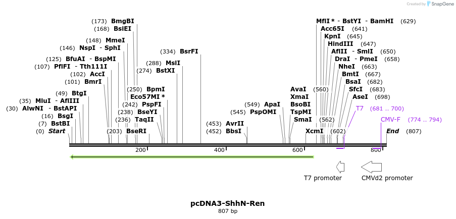 48822_map