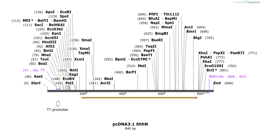 48825_map