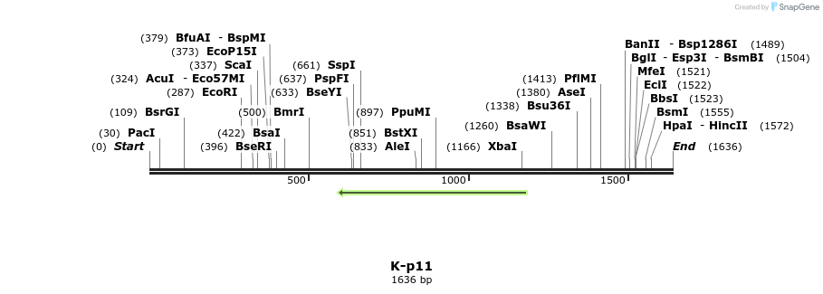 48827_map