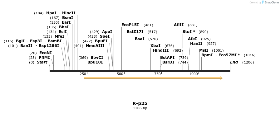 48828_map