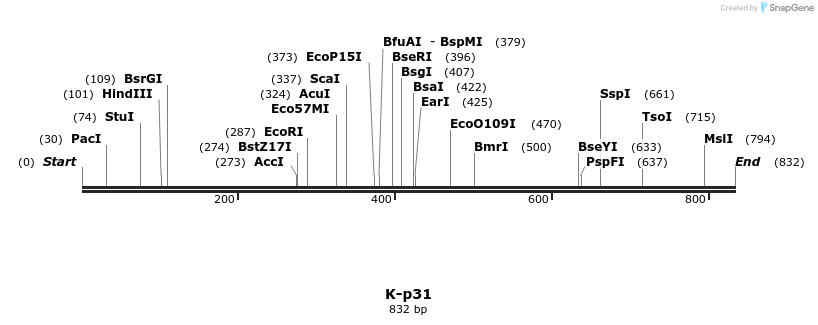 48831_map