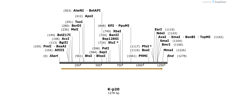 48832_map