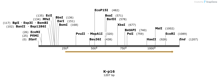 48833_map