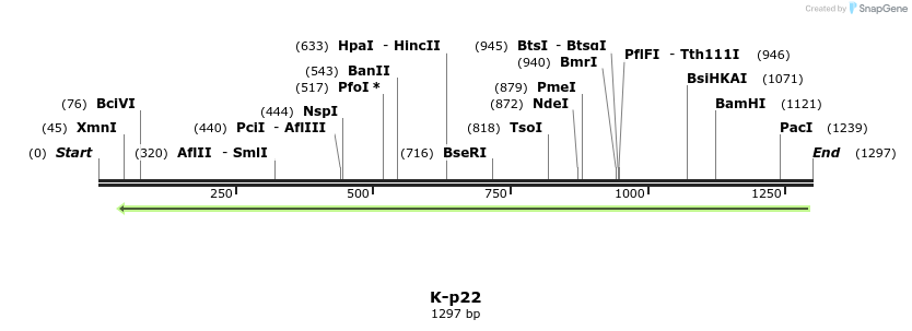 48834_map